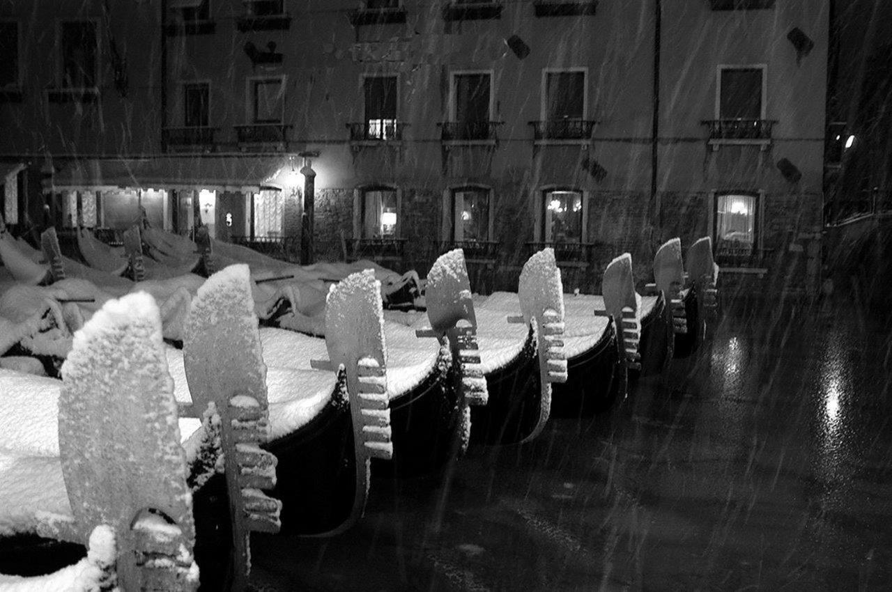 San Marco Luxury Studio Venezia Eksteriør bilde